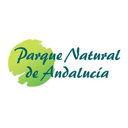 Casa Rural Los Pinos Hinojos Zewnętrze zdjęcie