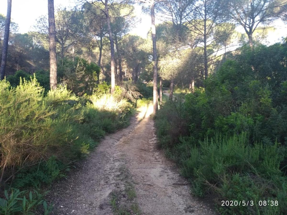 Casa Rural Los Pinos Hinojos Zewnętrze zdjęcie
