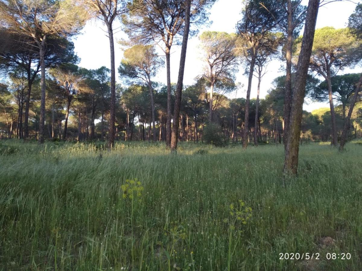 Casa Rural Los Pinos Hinojos Zewnętrze zdjęcie