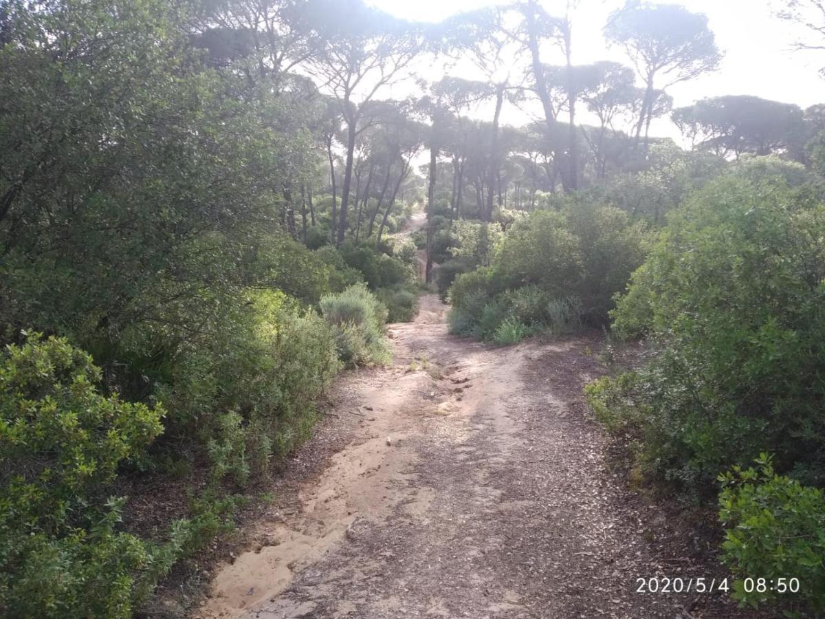 Casa Rural Los Pinos Hinojos Zewnętrze zdjęcie